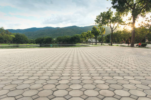Best Local Driveway Pavers  in Forsgate, NJ